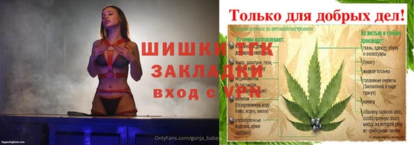 2c-b Каменка
