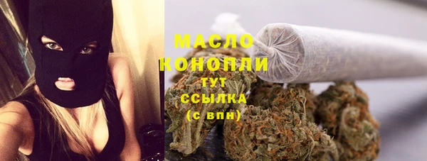 2c-b Каменка