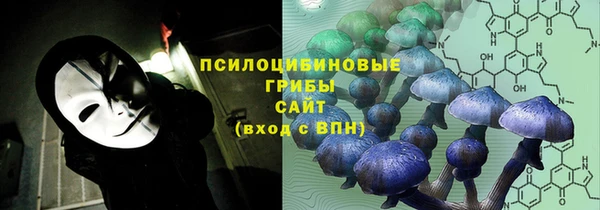 гидра Каменногорск