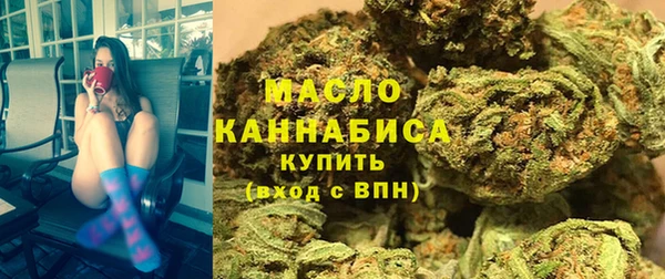 2c-b Каменка
