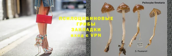 mdpv Иннополис