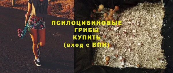 сатива Инсар