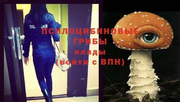 mdpv Иннополис