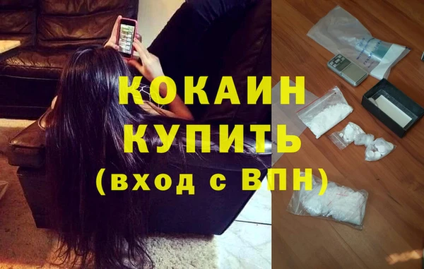 каннабис Инта