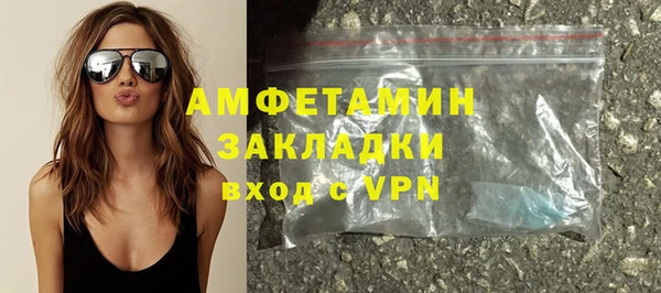 сатива Инсар