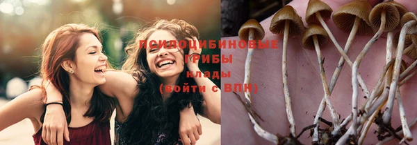 гидра Каменногорск